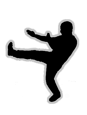 Wing Tsun / Wing Chun